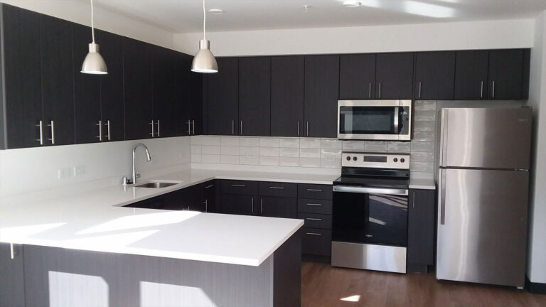 Fully Furnished Kitchen of an Apartment at Stateside